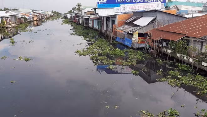 Nguyên nhân chính gây ô nhiễm sông Cái Lớn và các tuyến kênh nội đồng trên địa bàn thị xã Long Mỹ là do hoạt động xả thải của nhà máy thuộc Công ty TNHH Mía đường cồn Long Mỹ Phát.