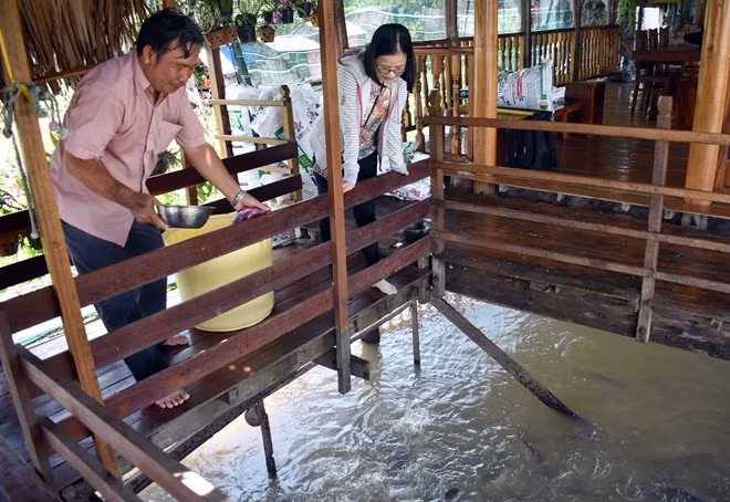 Khách tham quan thích thú chiêm ngưỡng đàn cá thú cưng của ông Cường.