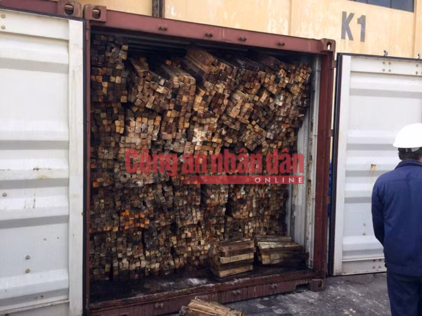 Ngà voi được giấu trong những thanh gỗ buộc chặt với nhau.