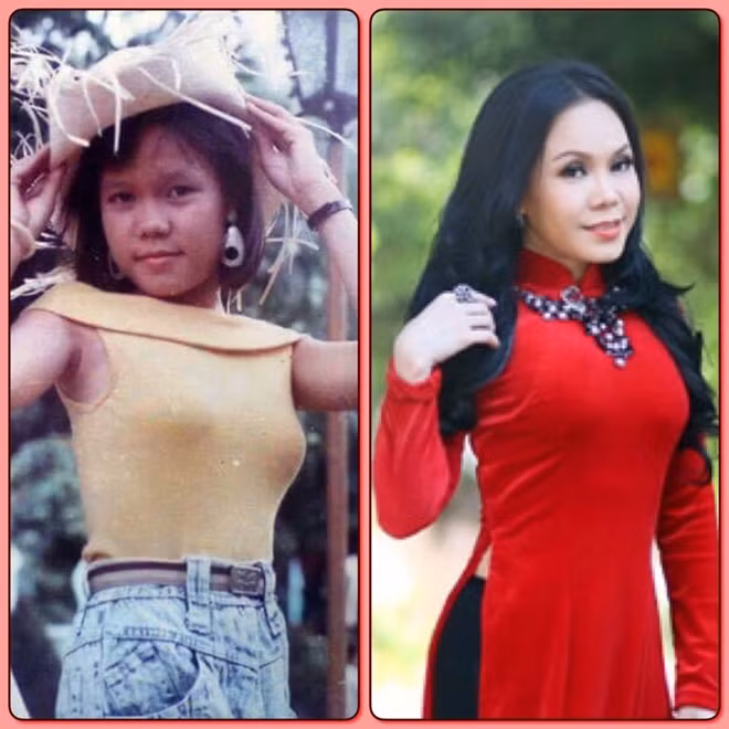 Nghệ sỹ hài Việt Hương.