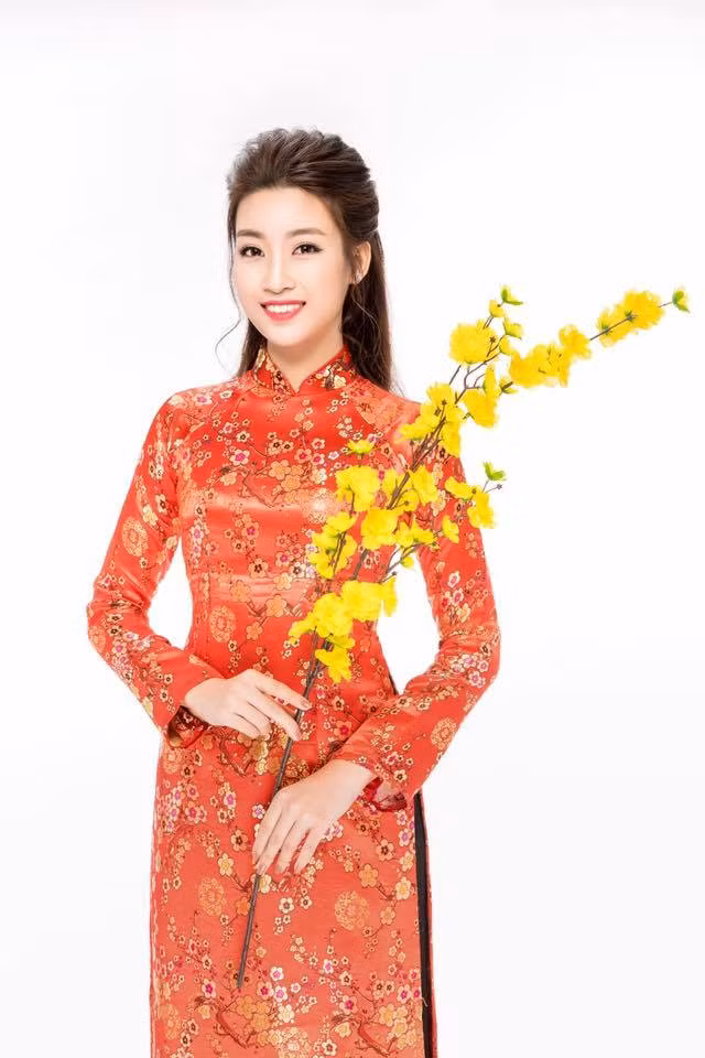 Một số hình ảnh gắn với hình ảnh chiếc áo dài của Hoa hậu Đỗ Mỹ Linh.