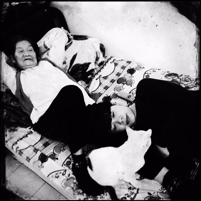 Vợ tác giả lúc mang bầu Tít 6 tháng, đang nằm chơi với bà nội và con mèo già, Hà Nội, 2014.