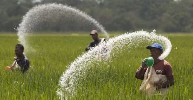 Nhiều công ty phân bón "rởm", sản xuất thuốc thú y rởm đã bị xử phạt nặng