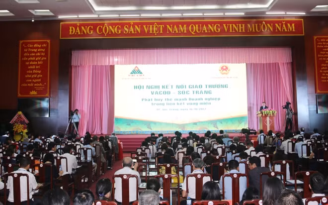 Các đại biểu tham dự Hội nghị.