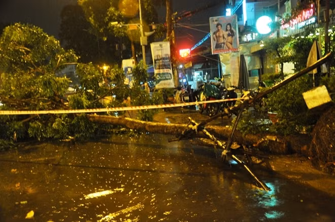 Cây xanh gãy ngã trên đường
