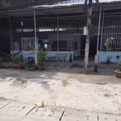 Cụ ông 93 tuổi đánh vợ tử vong ảnh 3