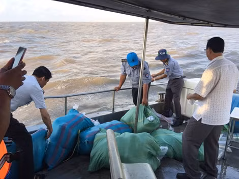 Thả 4,5 triệu con tôm giống về biển, tái tạo nguồn lợi thuỷ sản