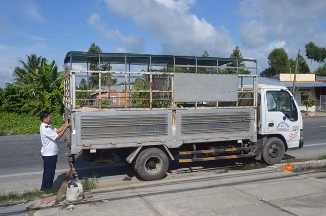 Cán bộ Thú y tỉnh Sóc Trăng, tiêu độc, khử trùng và niêm phong xe chở heo trước khi di chuyển tiếp.