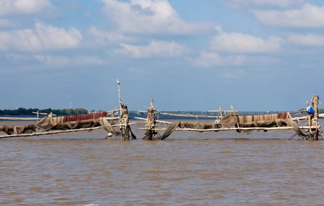 Đáy cá ở Cà Mau (ảnh minh họa).