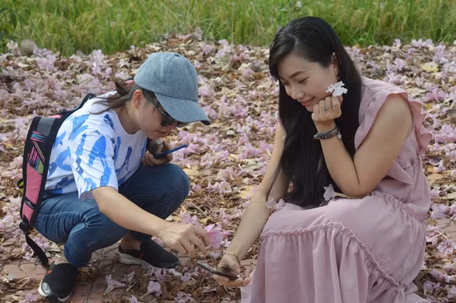 Ai cũng mê mẩn trước vẻ đẹp của hoa kèn hồng.