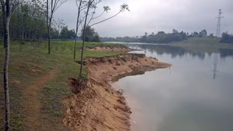 Nhiều diện tích hoa màu của người dân đã bị Sạt lở ngay cạnh bãi tập kết cát trái phép của ông Truyền.