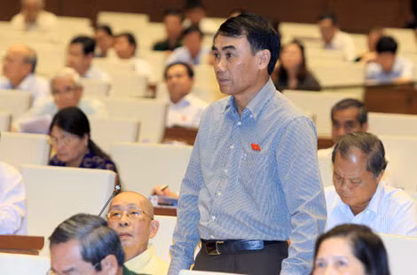 Đại biểu Trần Đình Nhã phát biểu ý kiến tại hội trường, sáng 15/6.