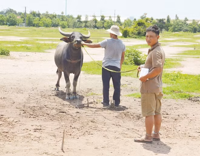 Long cùng tang vật