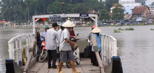 Cá sấu xuất hiện trên kênh Lò Gốm ảnh 5