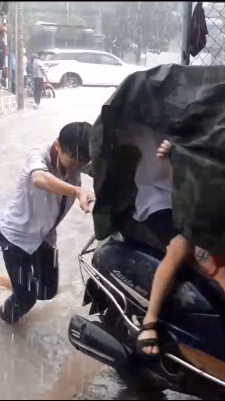 Người dân chụp lại ảnh các em giúp người đi đường Người dân chụp lại ảnh các em giúp người đi đường