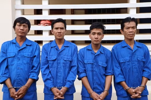 Cảnh giác việc thương lái mua lá măng cụt ảnh 2
