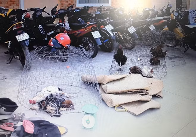 Tang vật của vụ án