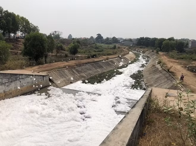 Hiện trường vụ việc