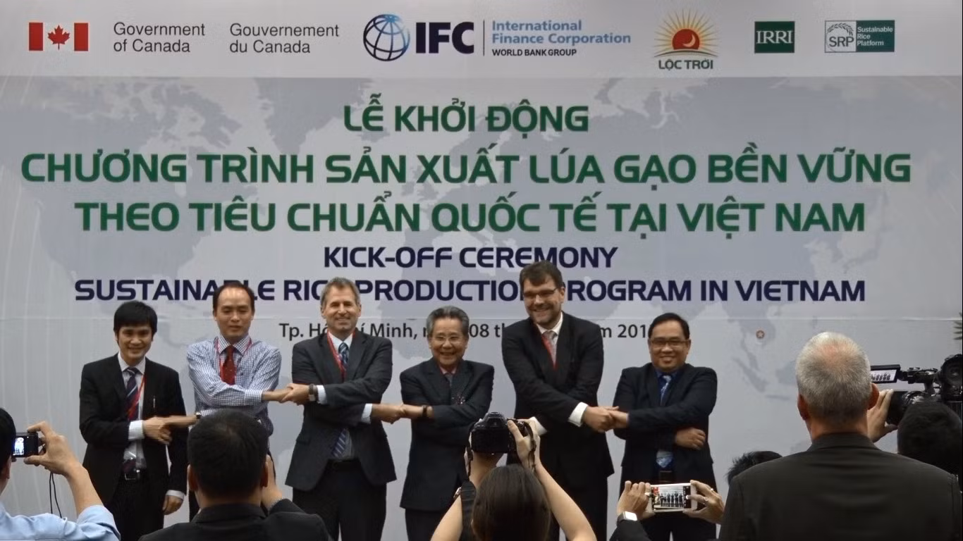 Khơi thông thị trường xuất khẩu cho gạo Việt Nam ảnh 3