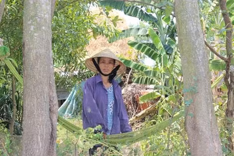 Do lo sợ rơm bị đốt nên nhiều hộ dân ở xã An Ninh đã phải mắc võng ngủ để canh rơm.