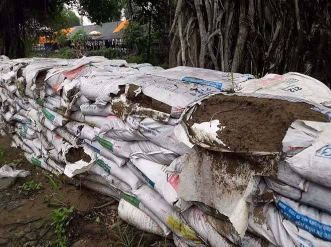 Nhiều bao cát đã mục nát, bể bao.