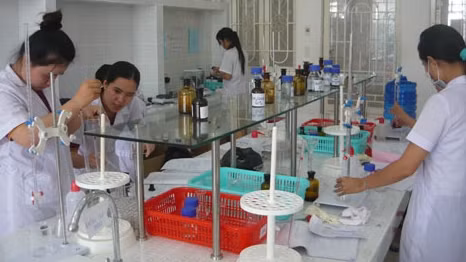 Đẩy mạnh đào tạo nguồn nhân lực chất lượng cao 