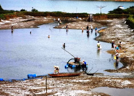 Nhiều hồ nuôi tôm khô cạn, tôm ế hàng loạt.