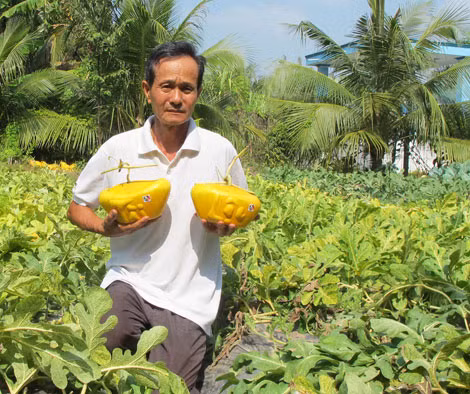 Ông Liêm với sản phẩm do mình sáng tạo hoàn chỉnh ngoài ruộng.
