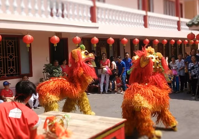 Hai chú sư tử đang biểu diễn cho người dân thưởng thức