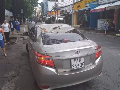 Nhiều sự cố trong cơn mưa to, gió lớn