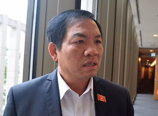 Cử tri lo lắng điện hạt nhân Ninh Thuận bị dừng 14 năm nay vẫn tiếp tục... quy hoạch ảnh 4