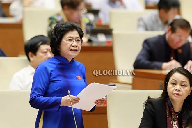 ĐBQH thảo luận tại hội trường