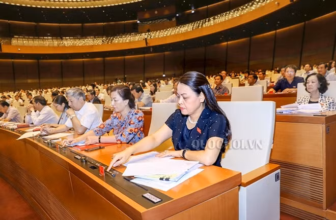 Các ĐBQH ấn nút thông qua