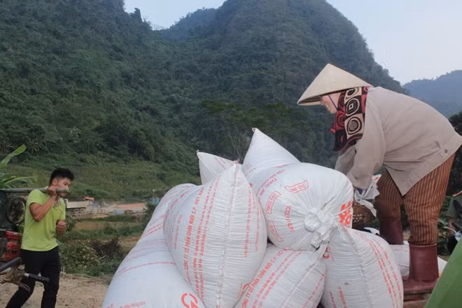 Cô Bàn Thị Xuân vui mừng vì được sự giúp đỡ của tổ công tác, chỉ trong một ngày cô và con trai đã gặt xong sào ruộng hơn 600m2.