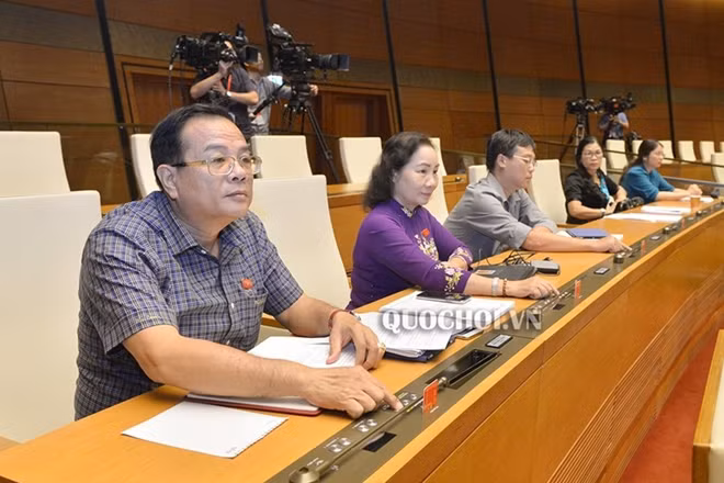 Các đại biểu tham gia biểu quyết