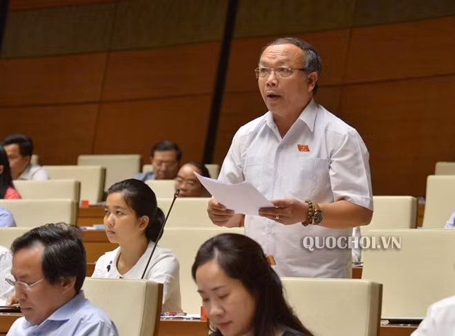 ĐBQH Đinh Duy Vượt (Gia Lai)