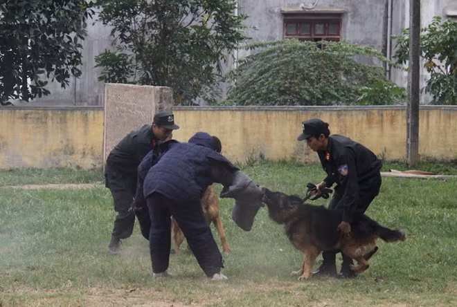 Chỉ khi cán bộ huấn luyện có mặt...