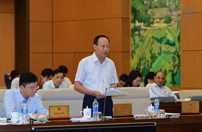 Thứ trưởng Lê Quý Vương phát biểu tại phiên họp.