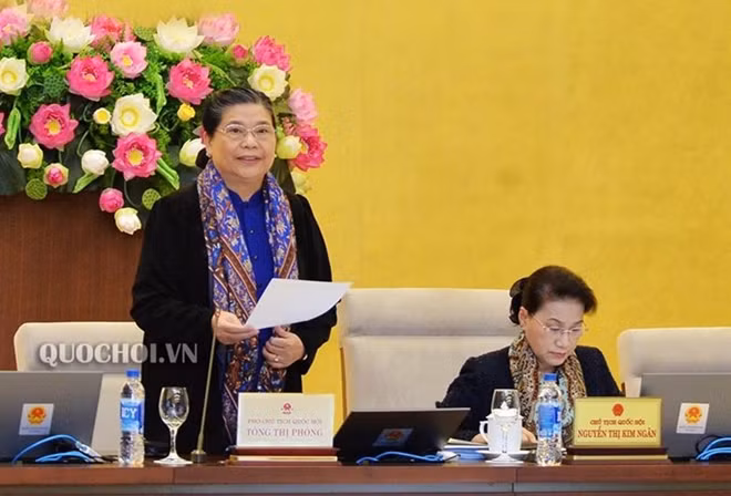 Phó Chủ tịch Quốc hội Tòng Thị Phóng
