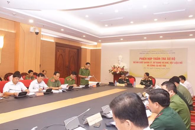 Thứ trưởng Lê Quý Vương trình bày Tờ trình tại phiên họp
