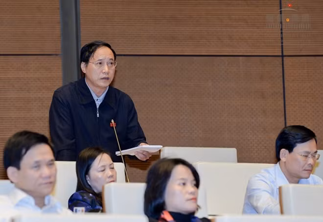 Đại biểu Nguyễn Mai Bộ tại phiên thảo luận