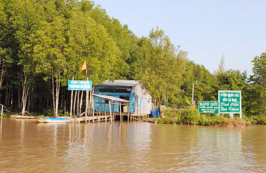 Vườn quốc gia Mũi Cà Mau (huyện Ngọc Hiển, tỉnh Cà Mau).