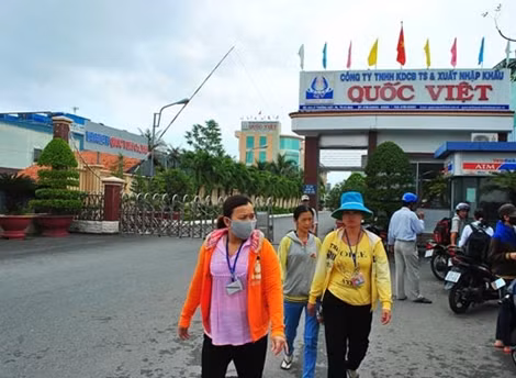 Một công ty bị phạt 210 triệu đồng do chậm đóng bảo hiểm