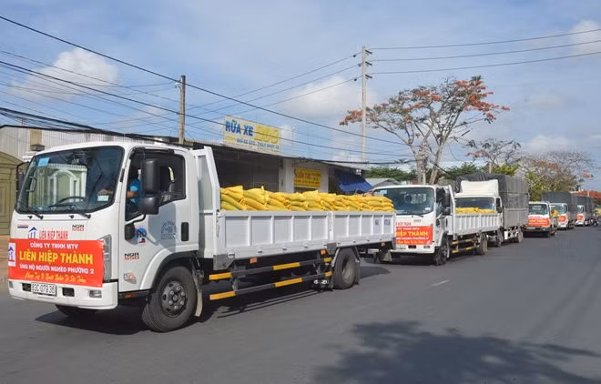 Đoàn xe chở 60 tấn gạo đến tặng 3.000 hộ dân khó khăn trên địa bàn TP Sóc Trăng.