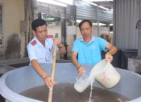 Tiêu hủy trên 570.000 con tôm giống không qua kiểm dịch