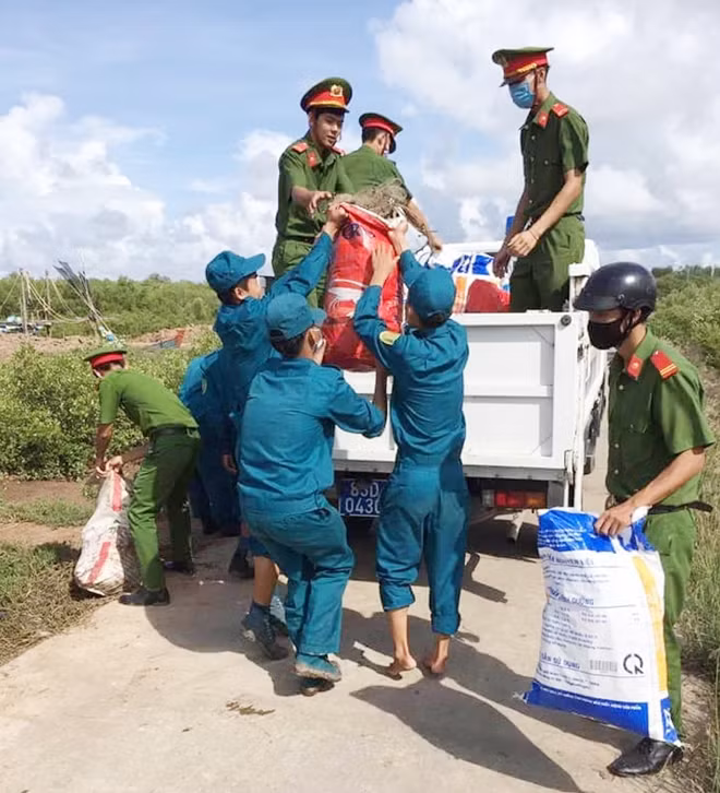 Các lực lượng tham gia dọn vệ sinh khu vực bờ biển phường Vĩnh Phước.