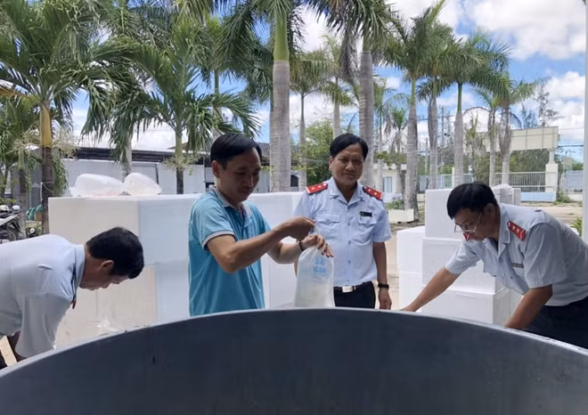 Cơ quan chức năng tỉnh Bạc Liêu tiêu hủy tôm giống không qua kiểm dịch.