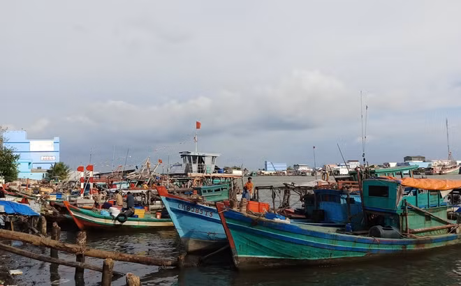 Thị trấn Sông Đốc, huyện Trần Văn Thời (Cà Mau).