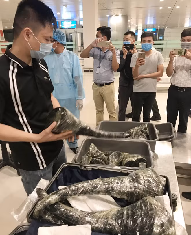 Đối tượng Sơn cùng tang vật là gần 30kg sừng tê giác tại sân bay Cần Thơ.