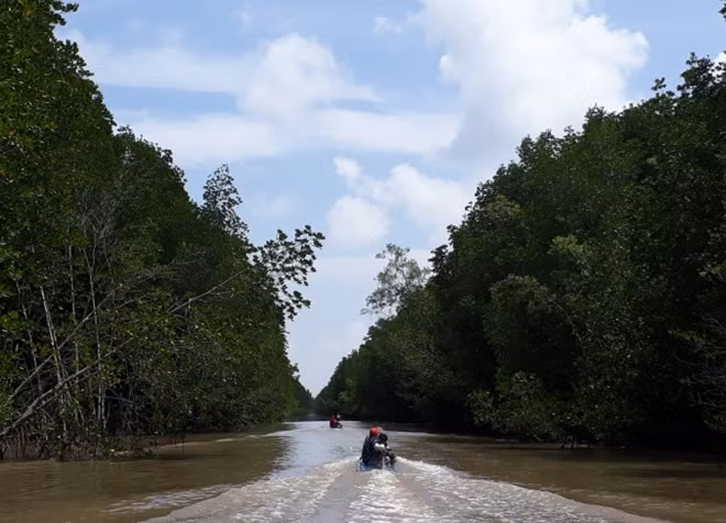 Một góc Vườn quốc gia Mũi Cà Mau.